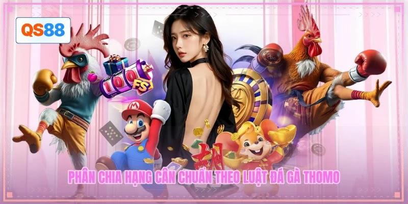 Phân chia hạng cân chuẩn theo luật đá gà Thomo