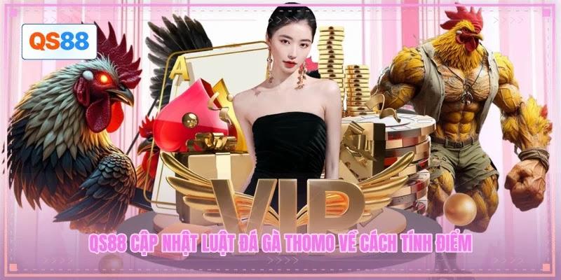 QS88 cập nhật luật đá gà Thomo về cách tính điểm